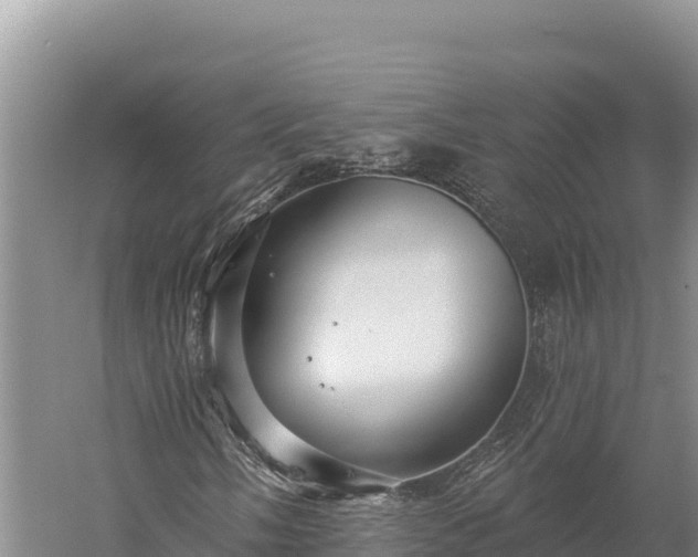 X0000059241058200510211556