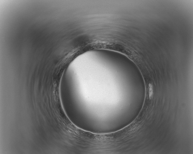 X0000059241059200510211556