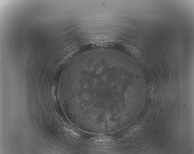 X0000059241060200510211556