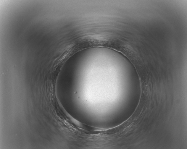 X0000059241061200510211556