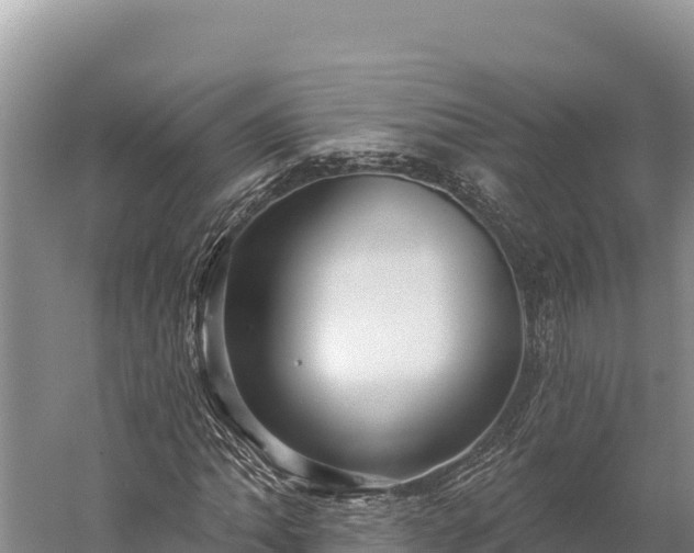 X0000059241062200510211556