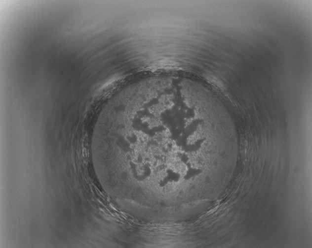 X0000059241063200510211556