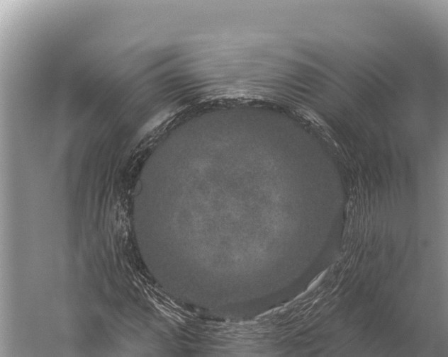 X0000059241064200510211556