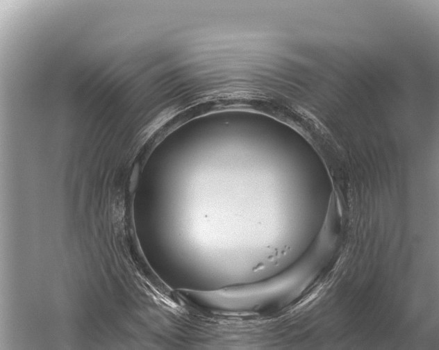 X0000059241065200510211556