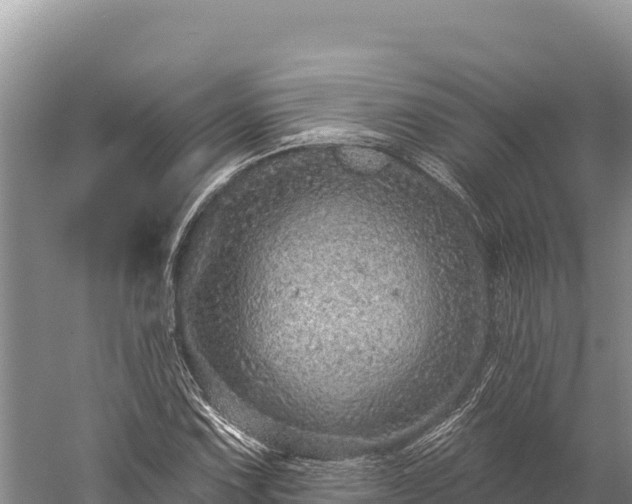 X0000059241067200510211556