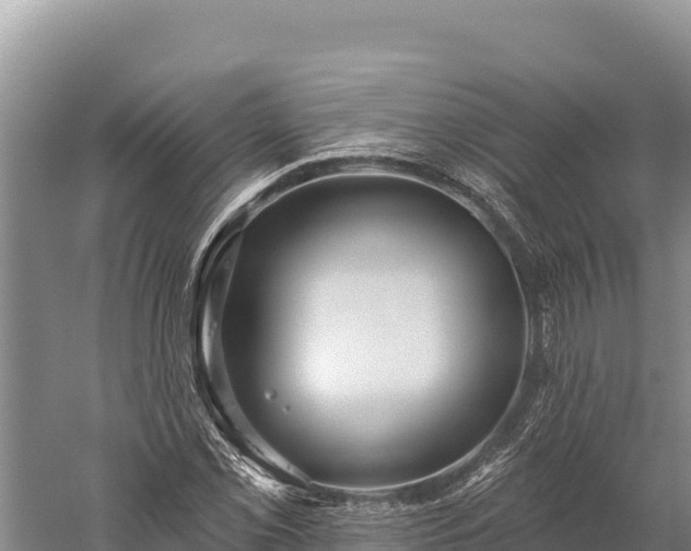 X0000059241069200510211556