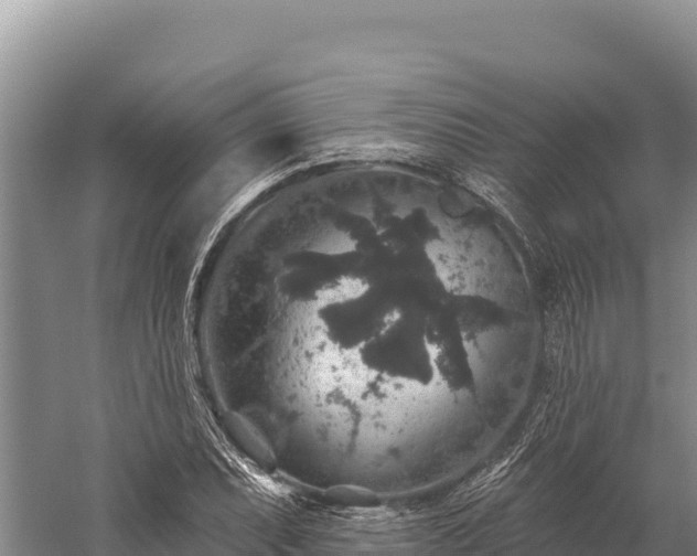 X0000059241071200510211556