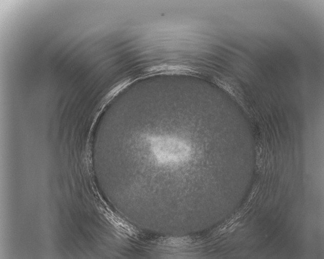 X0000059241074200510211556