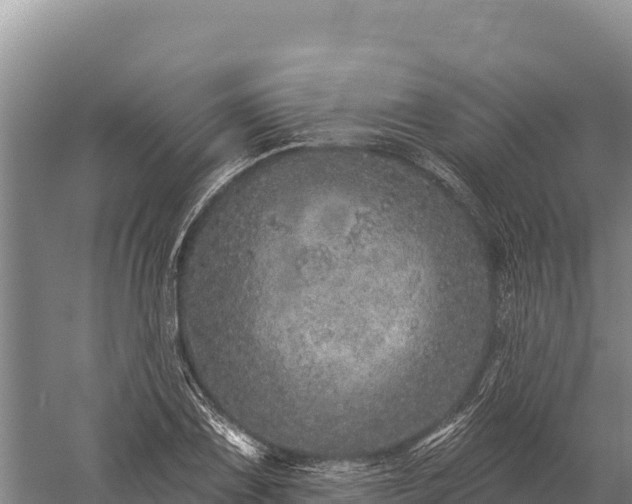 X0000059241075200510211556