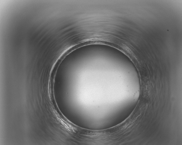 X0000059241076200510211556