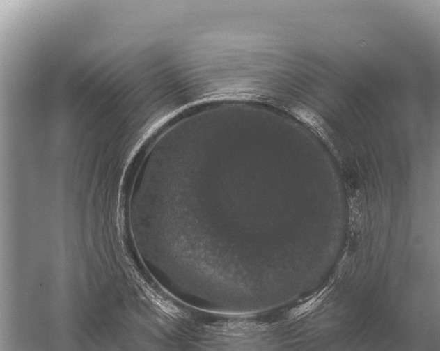 X0000059241077200510211556