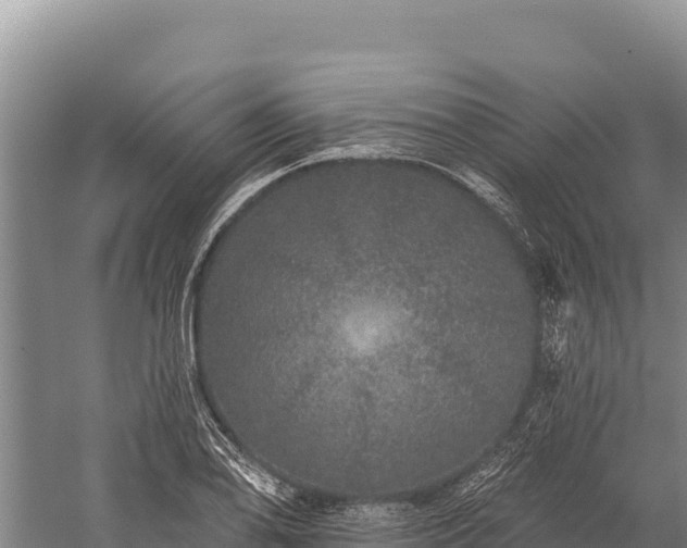 X0000059241078200510211556