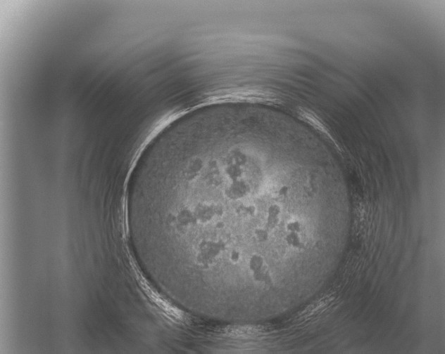 X0000059241079200510211556