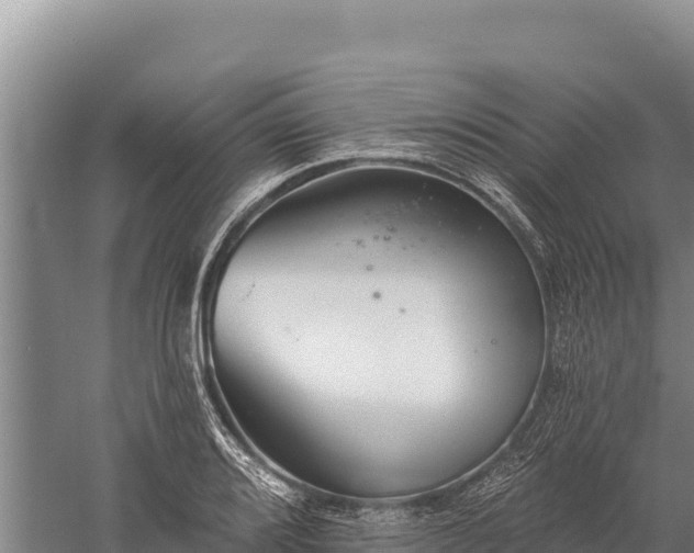 X0000059241080200510211556