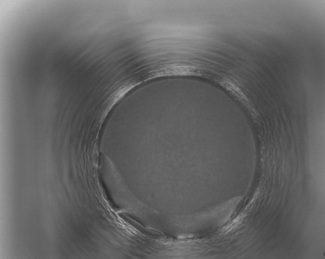 X0000059241081200510211556