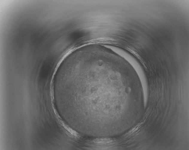 X0000059241083200510211556