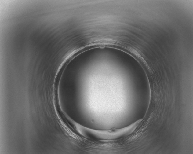 X0000059241085200510211556