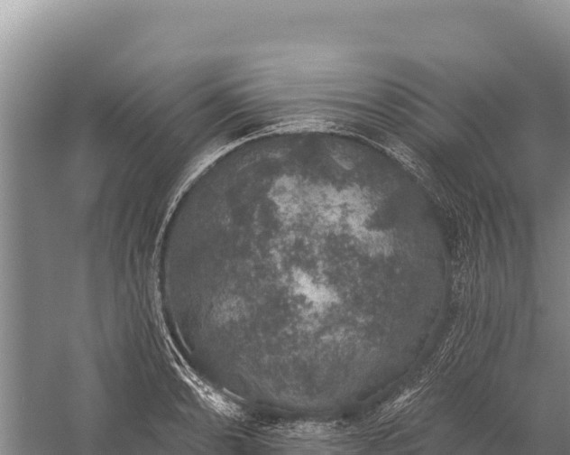 X0000059241086200510211556