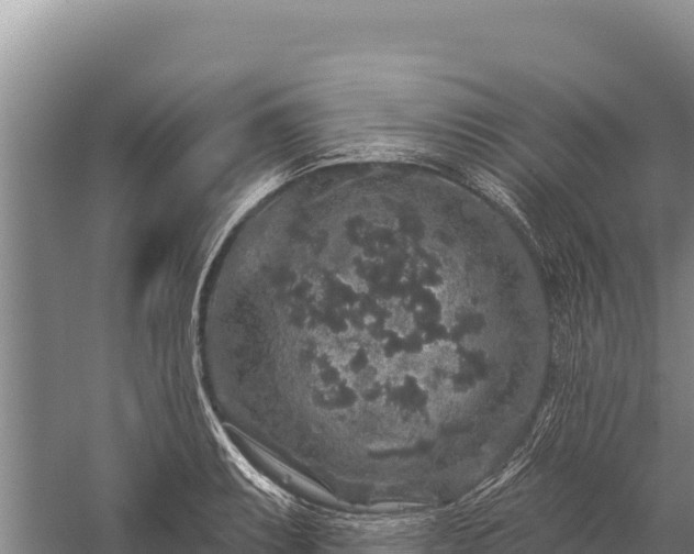 X0000059241087200510211556