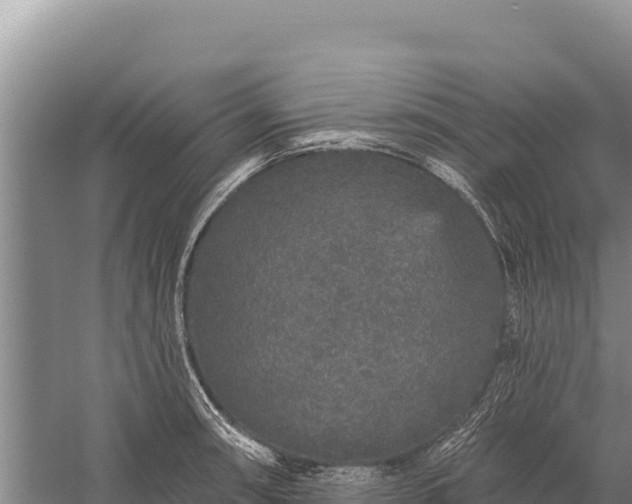 X0000059241090200510211556