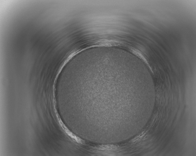 X0000059241091200510211556