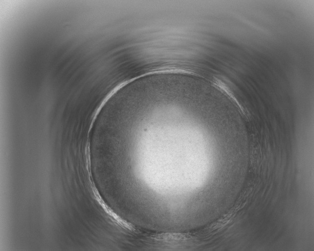 X0000059241092200510211556