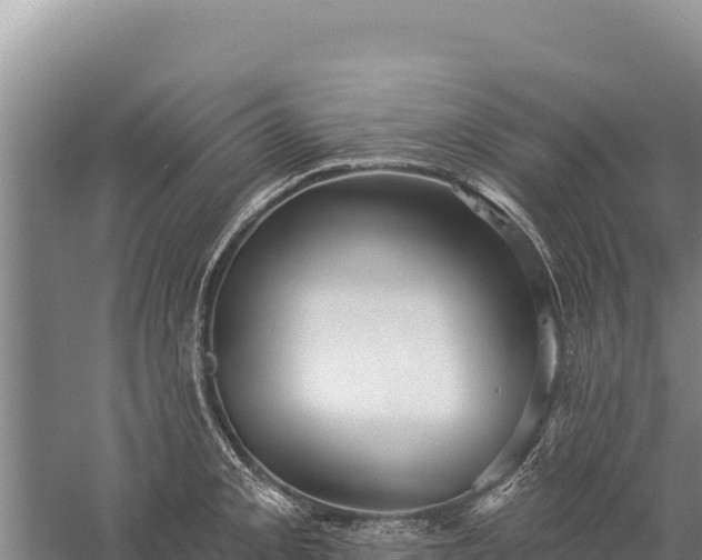 X0000059241093200510211556