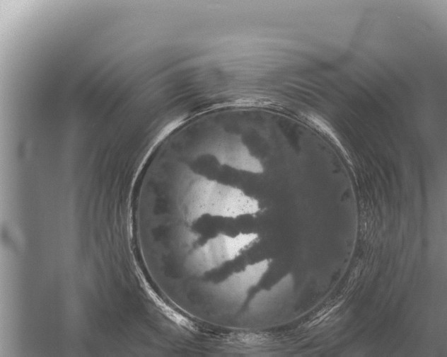 X0000059241095200510211556