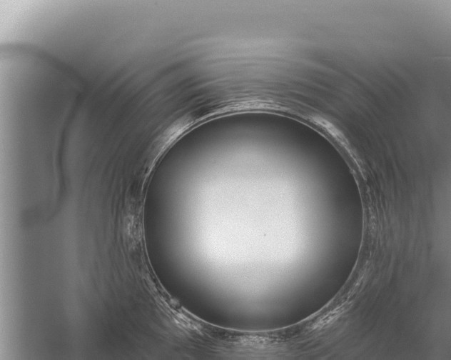 X0000059241097200510211556