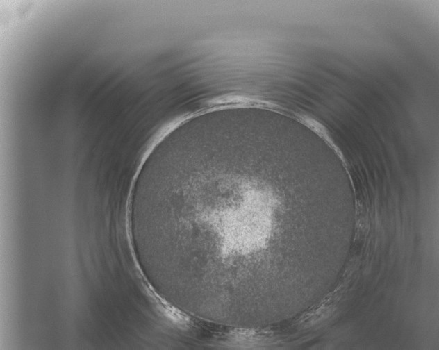 X0000059241098200510211556