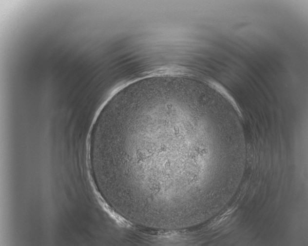 X0000059241099200510211556