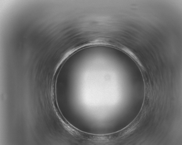 X0000059241101200510211556