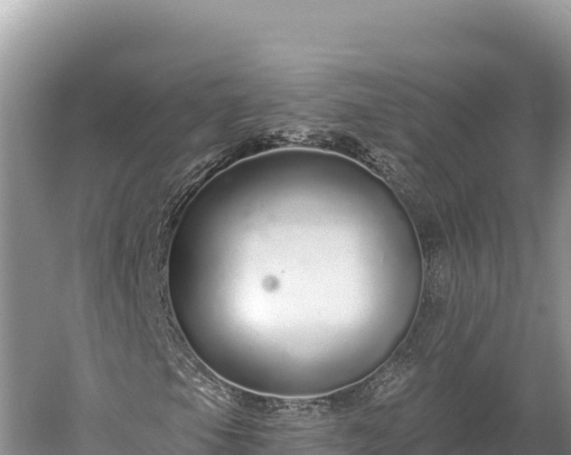 X0000059241105200510211555