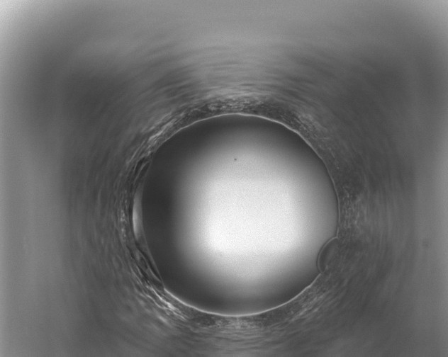 X0000059241109200510211555