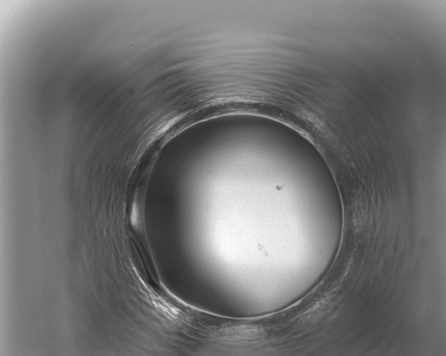 X0000059241113200510211555