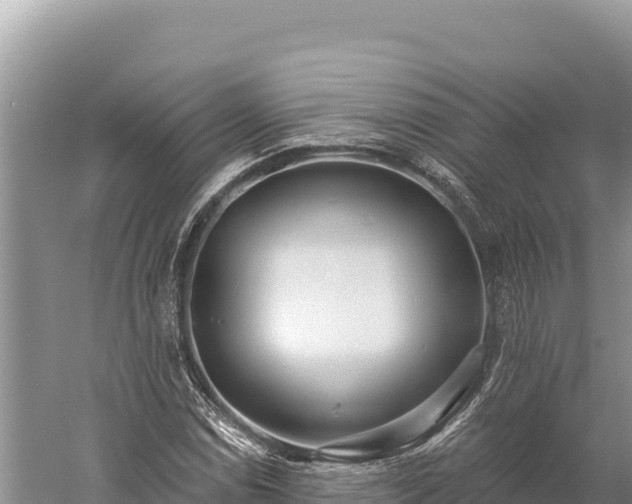 X0000059241114200510211555