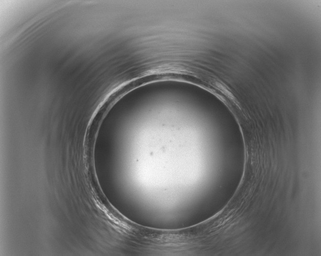 X0000059241116200510211555