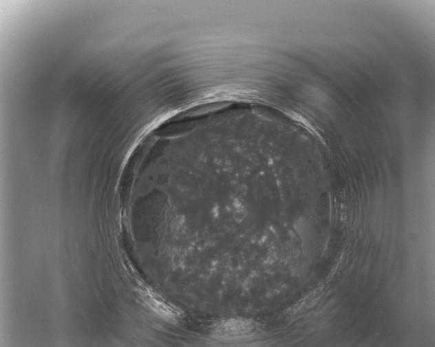 X0000059241117200510211555