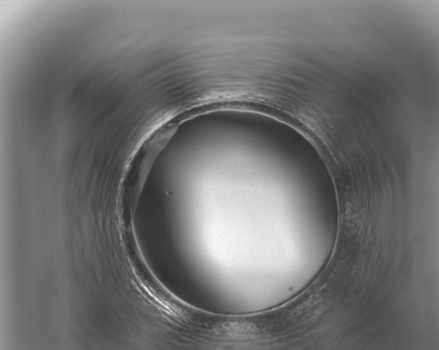 X0000059241119200510211555