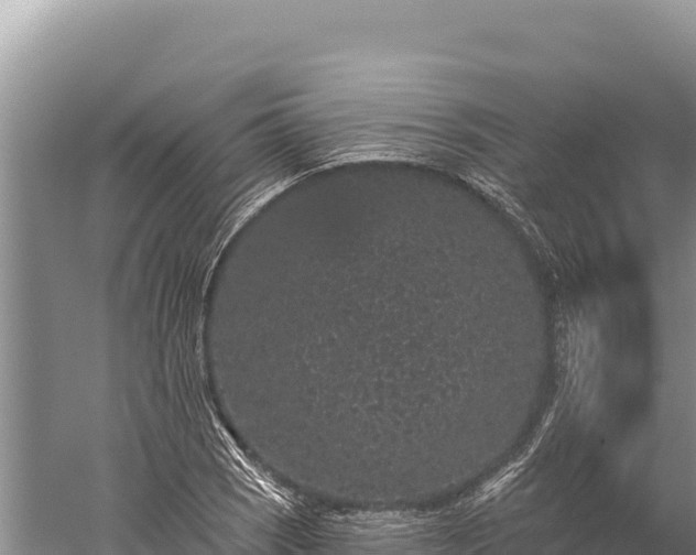 X0000059241121200510211555