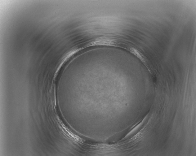 X0000059241123200510211555