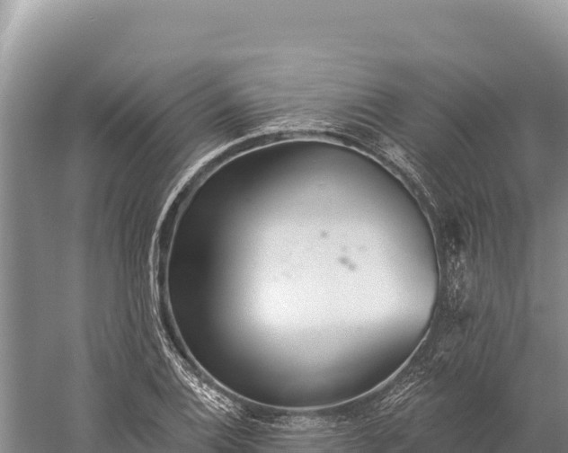 X0000059241124200510211555