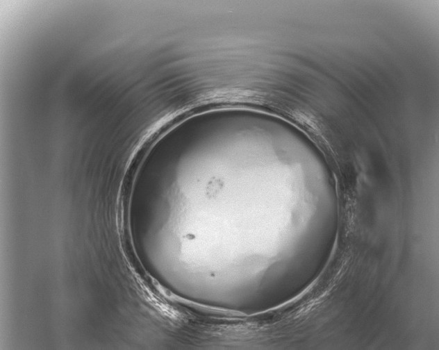 X0000059241125200510211555