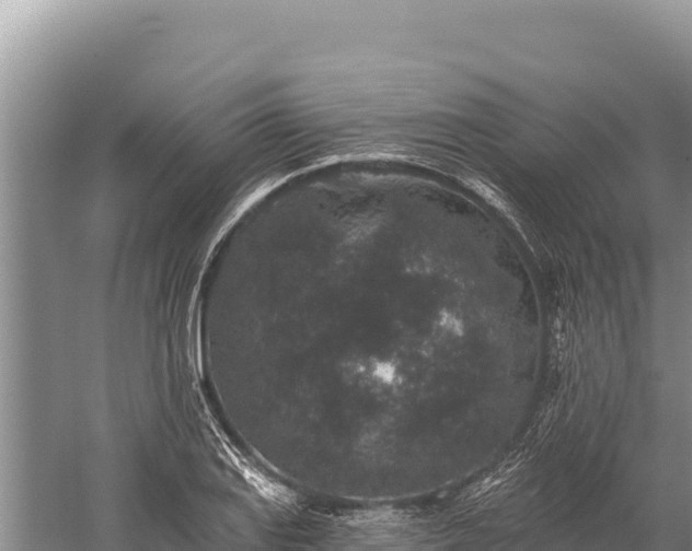 X0000059241127200510211555