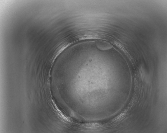 X0000059241129200510211555