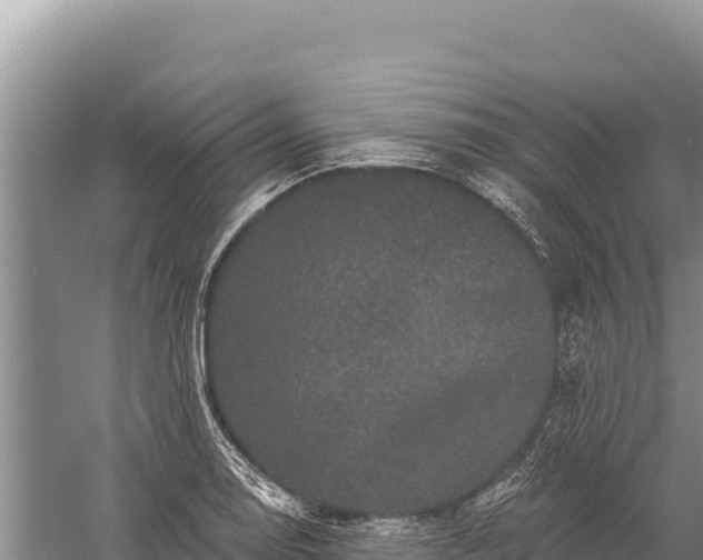 X0000059241130200510211555