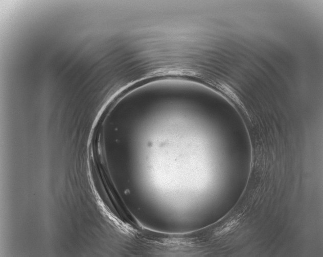 X0000059241132200510211555