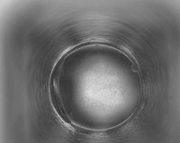 X0000059241133200510211555