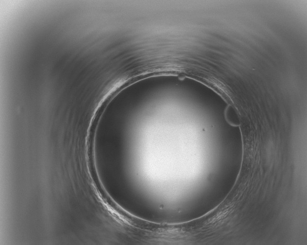 X0000059241135200510211555