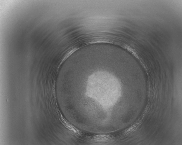 X0000059241137200510211555